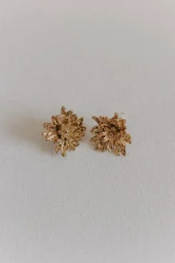 Boucles IRIS