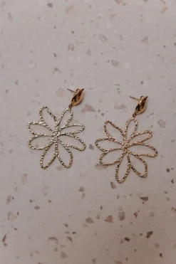 Boucles MAE